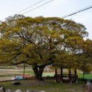 덕산복지회관 이미지