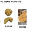 파리바게뜨춘천 이미지