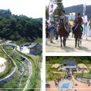 제4회 포항 장기유배문화제 이미지