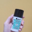 올리브(oliv) 이미지