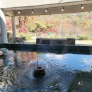 유정1955 이미지