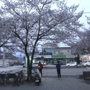 꾸례게스트하우스 이미지