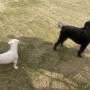 타타스베이글 평택용이점 이미지