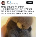 해달 - 공주시 공주대학로 94-3 | 해달
