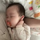 거제최고맛족 | #23 3/6-12
