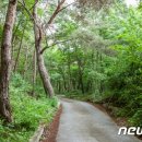 박달재여관 | 비오면 더 볼만한 풍경 뽐내는 7월에 가볼 만한 곳