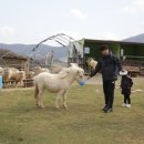 주주목장 이미지