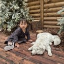 하늘빛어린이집 | 2025년 12월 상반기 일기(첫도쿄, 태교여행, 까르띠에 다무르 팔찌, 팡메종, 위스키샵, 새로운 아기멤버...