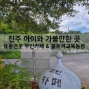 유동연못 무인카페