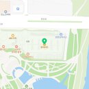 코렐브랜드 | 롯데마트 코렐 접시 세일 득템! 시골 그릇가게보다 반값 느낌으로 장만한 후기