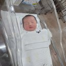 평화산부인과의원 | 서울 양천구 밝은미래산부인과 제왕절개 초산 출산 후기_이제훈원장님