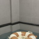 호텔한성 | 대구근교 아이랑 가볼만한곳 부곡 “한성호텔” 유황온천 가족탕 대실 후기