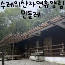 차곡리 | [충북 음성 수레의산자연휴양림/민들레] 물놀이 후 가성비 1박 후기