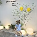 달다곰이부천상동점 이미지