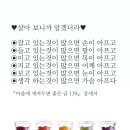 수하 티스토리
