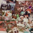 에브리원안경 | 2025년 11월 3주차 일기