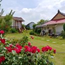 나비텃밭농원 이미지