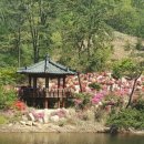 명덕호수공원 이미지