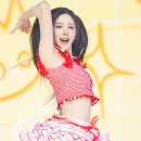 서진포토