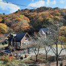 추원모차골 이미지