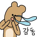 홀리디테일링 이미지