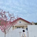 스테이밤밤 이미지