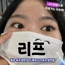 제주 노형속눈썹 ㅣ 리프 , 가닥가닥예쁘다 LED속눈썹연장 브라운모 솔직후기 미모갱신한 무쌍눈속눈썹연장