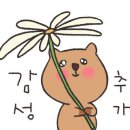 고려슈퍼마켓앞