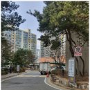 한성스위트빌아파트(1차) 이미지