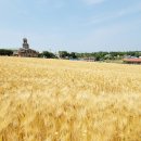 보리목장 이미지