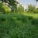 전재울근린공원 유아숲체험원 이미지