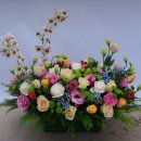 김정희치과의원 이미지