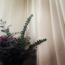 예원한의원 이미지