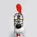 MR.DOG
