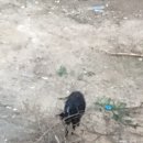 파리바게뜨 양산범어점 네이버블로그