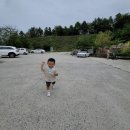 강릉 뒷뜨루관광농원, 아기랑 가볼만한곳 동물농장 해바라기