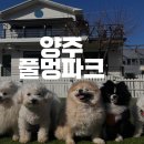 풀멍 이미지