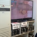 태화강생막걸리 | 울산태화동맛집 홍어삼합이 찐 맛있는 목포식당