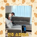 비치움행복 | 아기 비염 탈출 전주 패브릭 쇼파 청소 업체 쓱쓱싹싹케어 비치움 전북점 내돈내산 후기