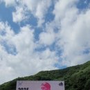 서킷50 팀트레이닝 이미지