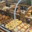 평촌수약국 | 범계역 롯데백화점 맛집 범계 베이글 맛집 베이글리스트 평촌점