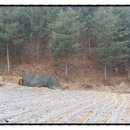 한국토지공인중개사사무소 이미지