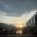 차오차오 | 교토 벚꽃 명소 철학의 길 완주 차오차오교자 후기