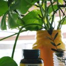 하나로카케어 이미지