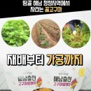 땅끝햇살찬 영농조합법인 이미지