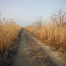 은수포낚시터 이미지