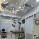 형제동물병원 | 서울강아지노령견안과추천 브라이튼안과치과동물병원 15살 백내장 5살 눈에 흰점이 생긴 각막이형성증...