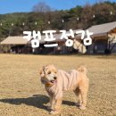 캠프정감 이미지