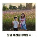 코스모스 | 창원 대산플라워랜드 코스모스 핑크뮬리 10월