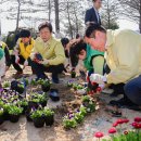 시민정원 이미지